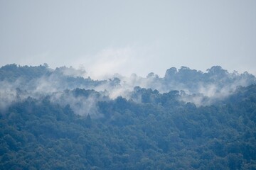 Scenic view of a mountain range covered with forest in clouds