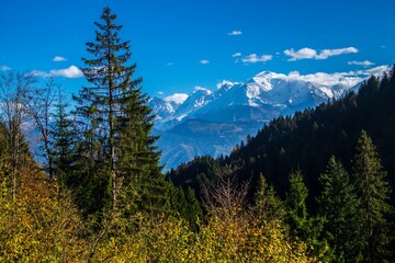 Stunning view of snow-capped mountains with lush trees in the foreground. France.