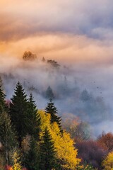 Picturesque autumn landscape with lush trees hidden in clouds. Kremnica Mountains, Slovakia.