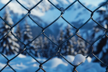 Close-up of a chain link fence with ice crystals against a snowy pine forest