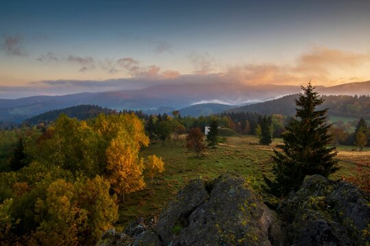 Tranquil scene of a grassy meadow and trees at sunset. Kremnica Mountains, Slovakia.