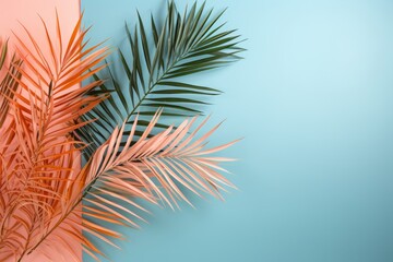 Obraz premium Tropical palm leaves on blue background. Minimal summer concept