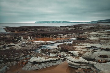 Fototapeta na wymiar Scenic rocky beach on a cloudy day is dotted with red algae-covered rocks against the gray sky