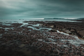 Scenic rocky beach on a cloudy day is dotted with red algae-covered rocks against the gray sky