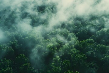 Enigmatic fog swirling through a dense forest.

