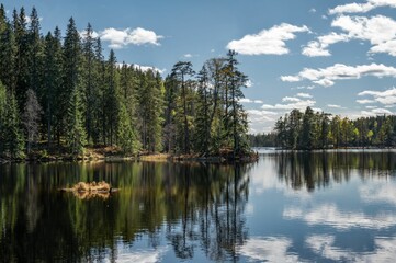 Obraz premium Scenic view of a tranquil lake surrounded by lush pine trees