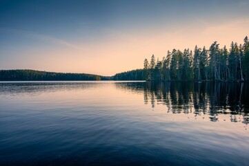 Scenic view of a tranquil lake surrounded by lush pine trees