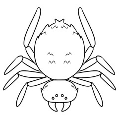 spider illustration hand drawn outline vector