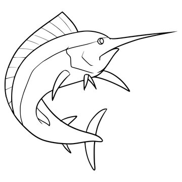 marlin fish illustration hand drawn outline vector
