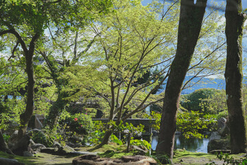 Sengan-en Japanese garden with former Shimazu clan residence in Kagoshima Prefecture, Japan. Place of scenic landscape beauty with Shōko Shūseikan Meji Revolution Sakurajima lookout volcano view