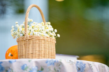 beautiful bouquet of white flowers in basket on wood table in the garden