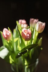 Fototapeta premium Pink tulips in a vase