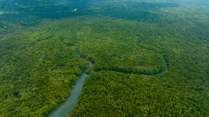 beautiful mountain natural green field wetlands of forest in the wild forest mountain ,Clean Air natural fresh Air concept. Forest lake Rainforest ecosystem mangrove trees.