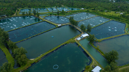 Fototapeta na wymiar prawn farm with aerator pump in front. Business of raising animals for export. Aquaculture business in Thailand.