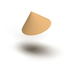3D Vietnamese Traditional Hat Design