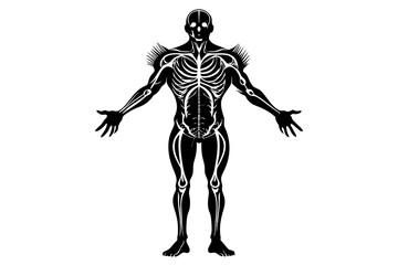 Antique anatomy overlay black silhouette vector design.