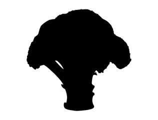 Broccoli silhouette vector art white background