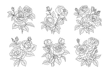 Set of rose flower line art. Floral black sketch outline bouquets. Rose with leaves simple botanical plant. Vector illustration for tattoo design, coloring pages for kids, wedding invitation