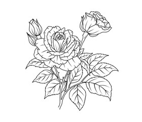 Rose flower line art. Floral black sketch outline bouquet. Rose with leaf simple botanical plant. Vector illustration for tattoo design, coloring pages for kids, wedding invitation