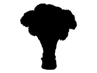 Broccoli silhouette vector art white background