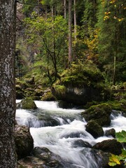 Obraz premium Scenic view of a cascading waterfall surrounded by lush green trees in Golling, Austria