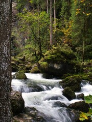 Scenic view of a cascading waterfall surrounded by lush green trees in Golling, Austria