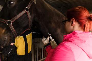 Veterinarian administering injection to horse.