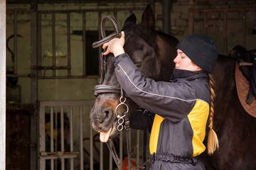 Person fitting bridle to horse in stable.