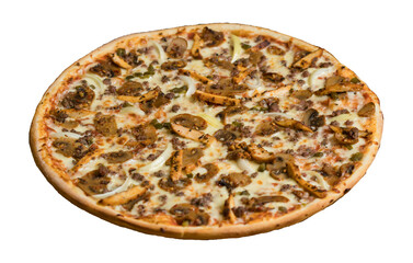 pizza on a white background