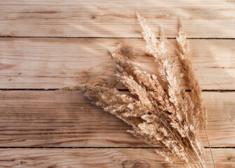 Dry reed on a wooden background.
