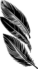 simple black outline drawing of three bird feathers, isolated element