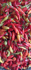 bunch of chilies