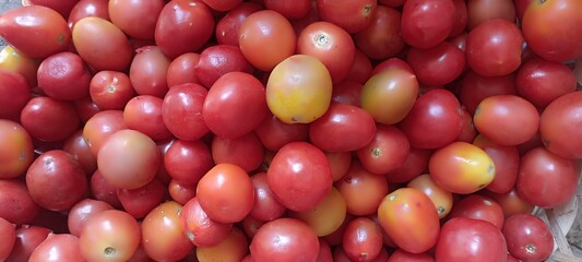 bunch of fresh tomatoes