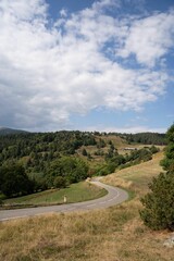 Scenic rural road runs through an open field towards a forest and hills