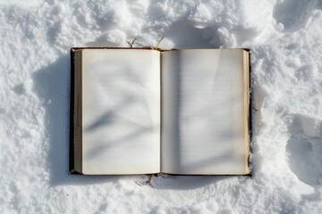 book white empty pages on snow of winter concept - obrazy, fototapety, plakaty