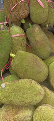 bunch of jackfruit