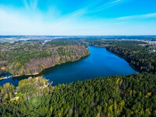 Aerial view of a lake surrounded by a forest on a sunny day