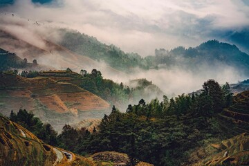 Landscape of rolling hills, shrouded in mist, with a backdrop of mountains and a scattering of trees - obrazy, fototapety, plakaty