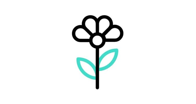 flower icon animated videos