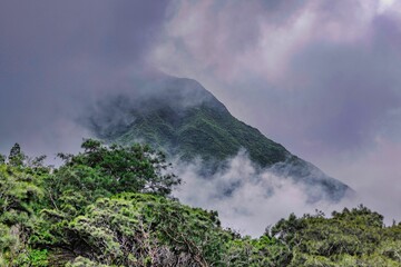 Scenic view of a mountain range covered with greenery on a cloudy day