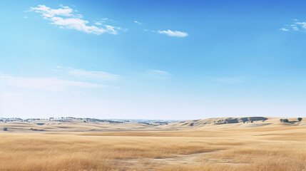 Fototapeta premium landscape with grass and sky.