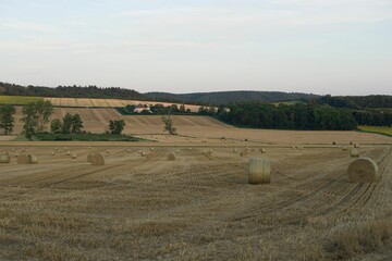 Obraz premium Scenic view of a grassy open field with several round bales of hay