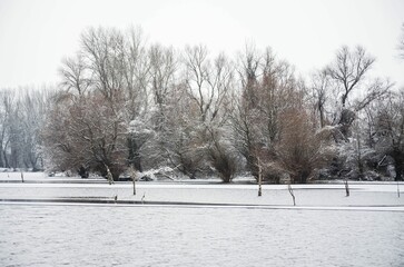 Scenic winter scene of snow-covered trees and shrubs surrounding a tranquil lake