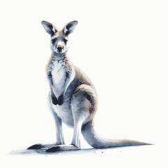 Fototapeta premium watercolor kangaroo art and wildlife painting