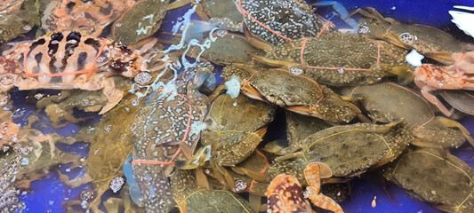 Crab in the restaurant, crab is seafood