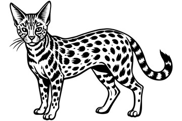 serval-vector-illustration