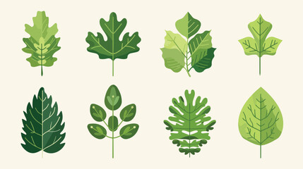 Leaf icons vector design leaves green concept illustration - obrazy, fototapety, plakaty