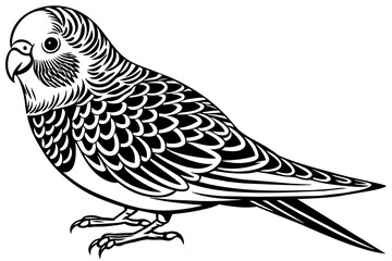 budgerigar-icon-vector-illustration