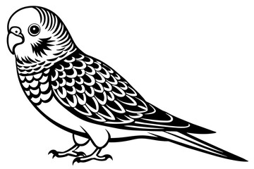 budgerigar-icon-vector-illustration