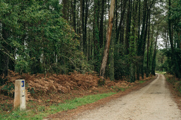 Way Marking sign on Trail of the Way of St James Pilgrimage Trail Camino de Santiago - sep 2022